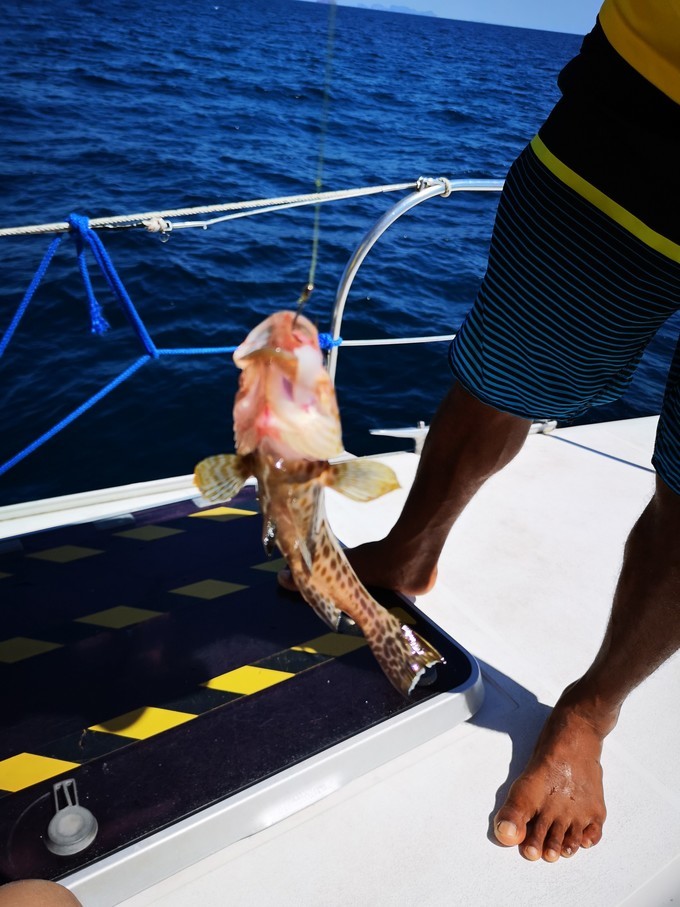 蛋岛蜜月岛,蜜月岛皮皮岛蛋岛一日游