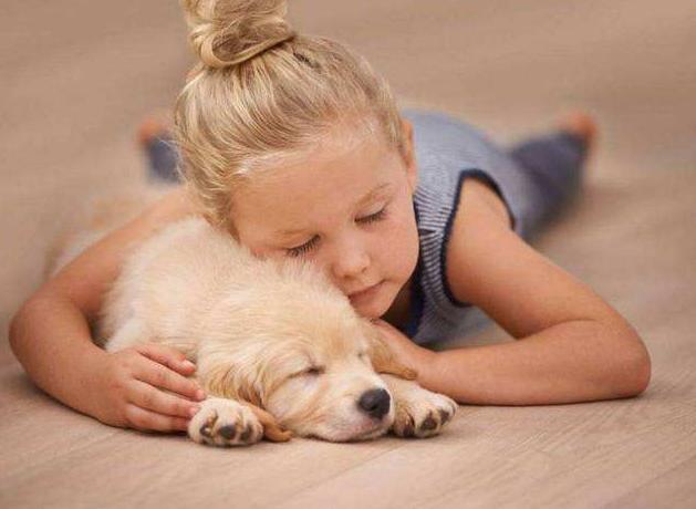 孩子记忆力差记不住怎么办,孩子记东西很慢记忆力不好怎么办