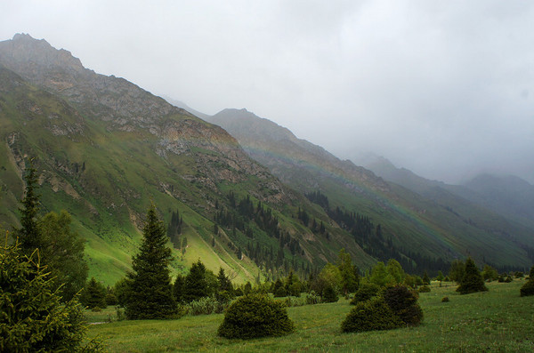 六月底的伊犁雪山,5月的伊犁草原