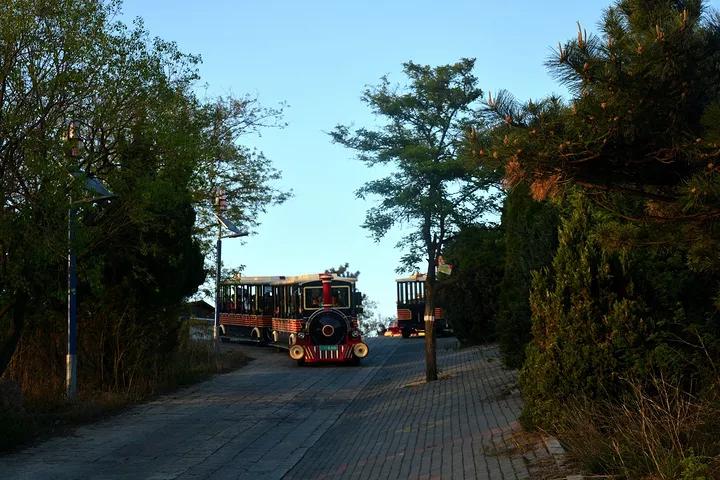 大连旅游攻略精致景点推荐,大连必去的打卡景点