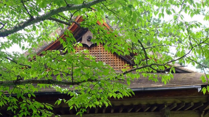 日本大阪免税店买香烟攻略,日本大阪免税店lv