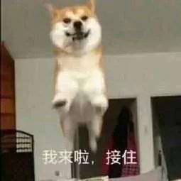 冷空气零下6到8度,最新梧州冷空气