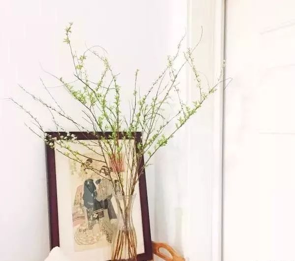 插花花材的固定技巧,三种花材插花教程新手入门