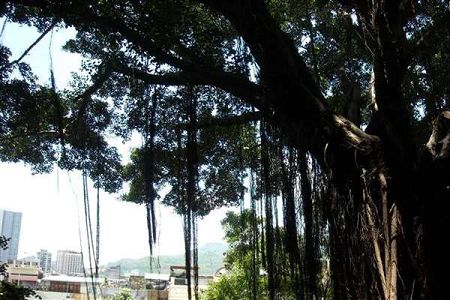 四川有哪些本科大学有招收专科,四川哪些师范类专科大学比较好