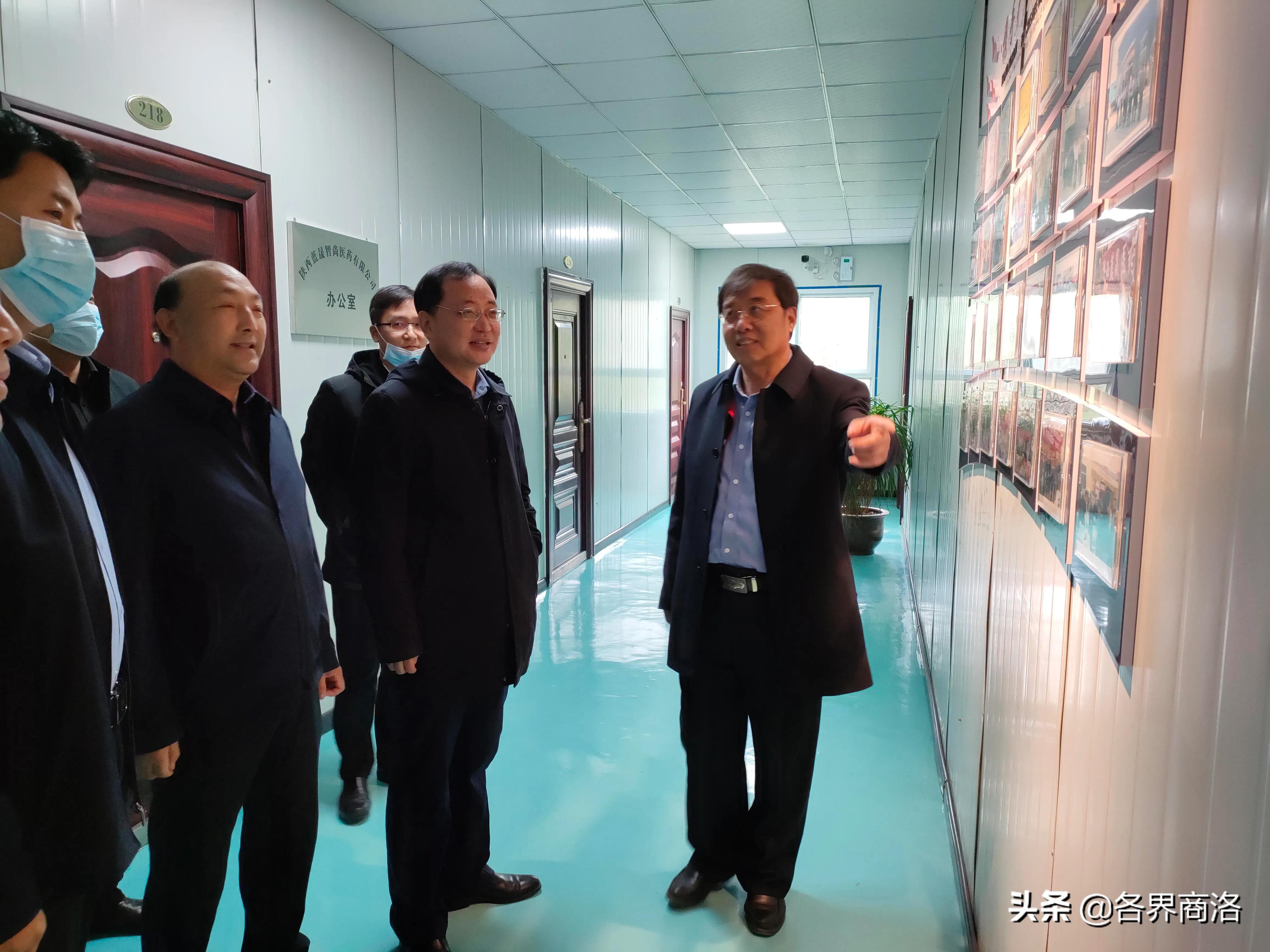 南京对口帮扶商洛市工作组来陕西蓝晟医药公司调研指导工作