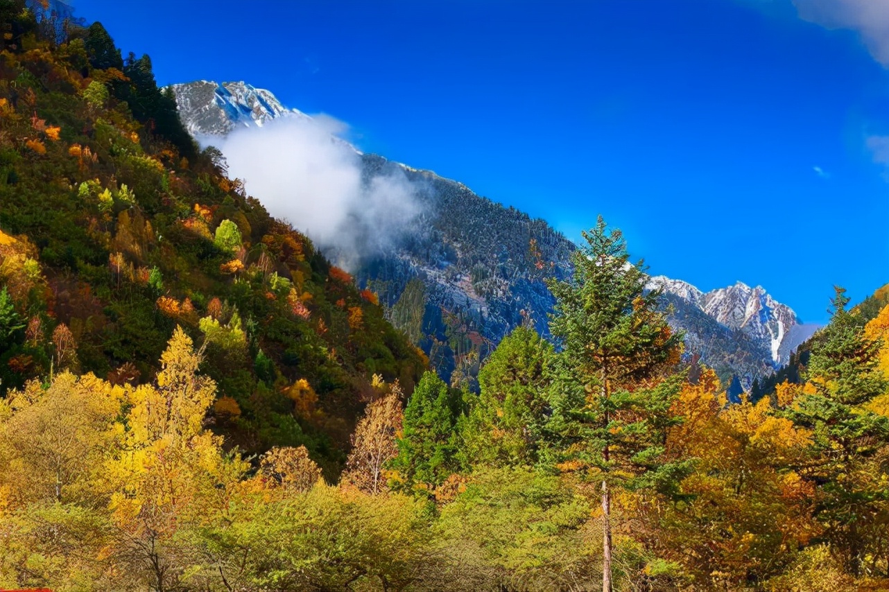 阿坝州红叶之旅,什么时候去阿坝州看秋景最佳