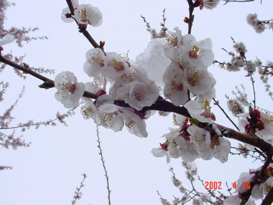 吉林大学怎么样是好大学吗,吉林大学的实力怎么样