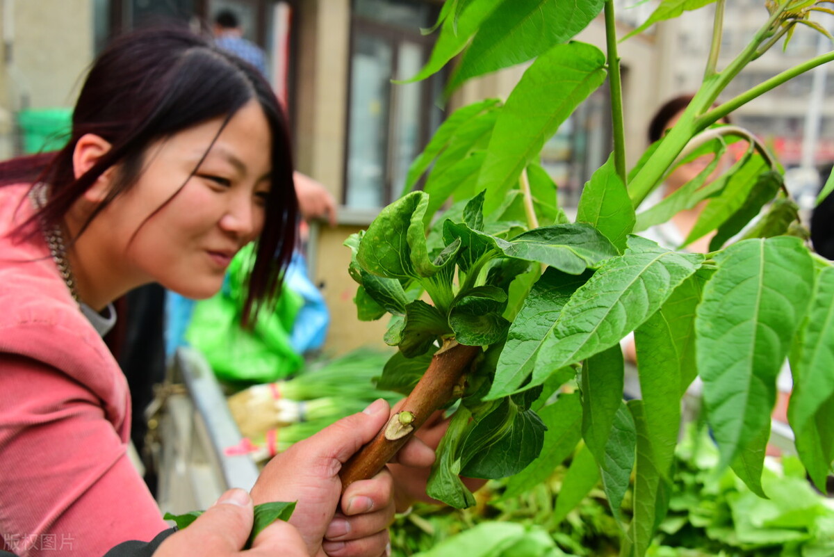 粮仓稻谷遭虫蛀如何治？老农六土法，稻谷储存一年都没事