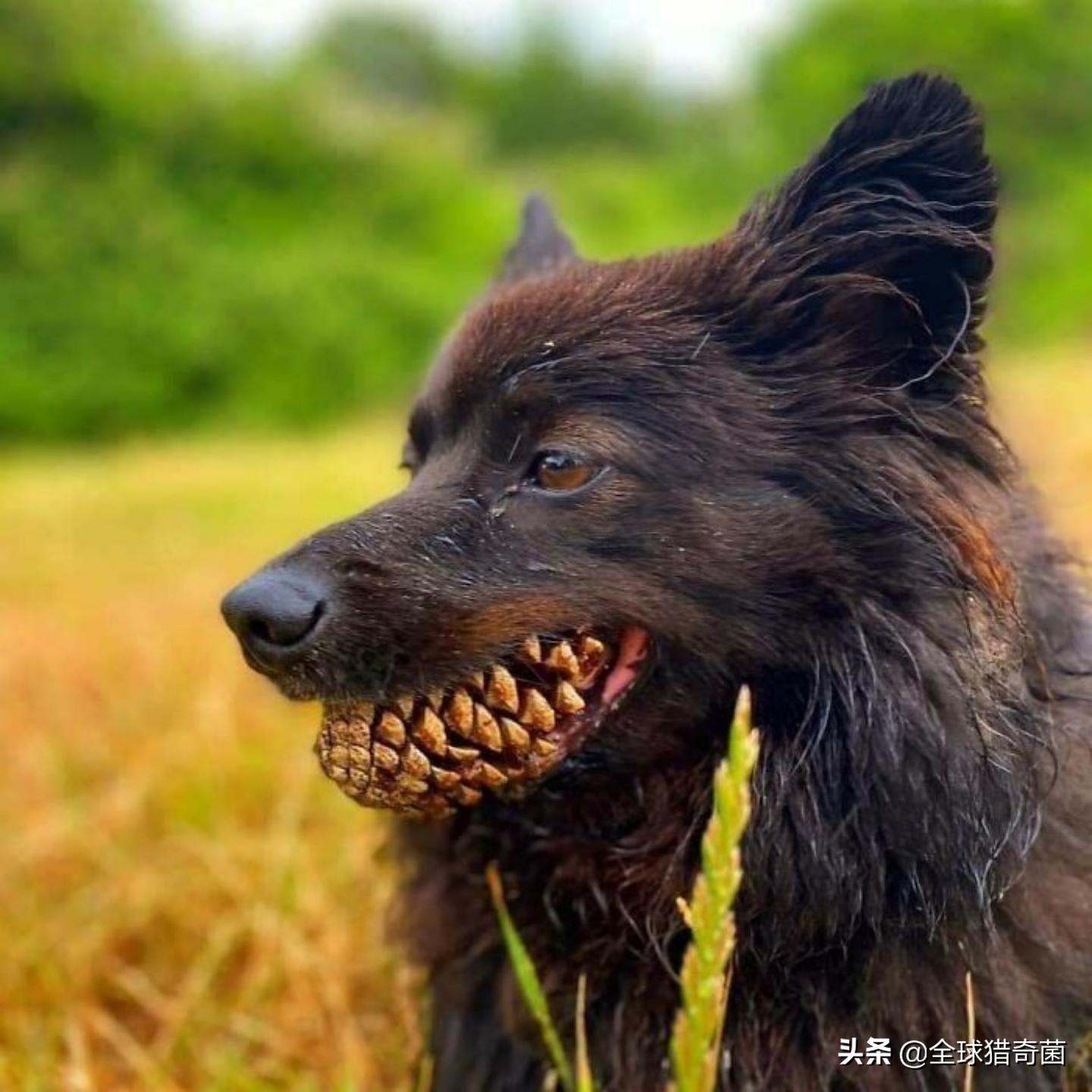 44张难以置信的图片,45张令人难以置信的图