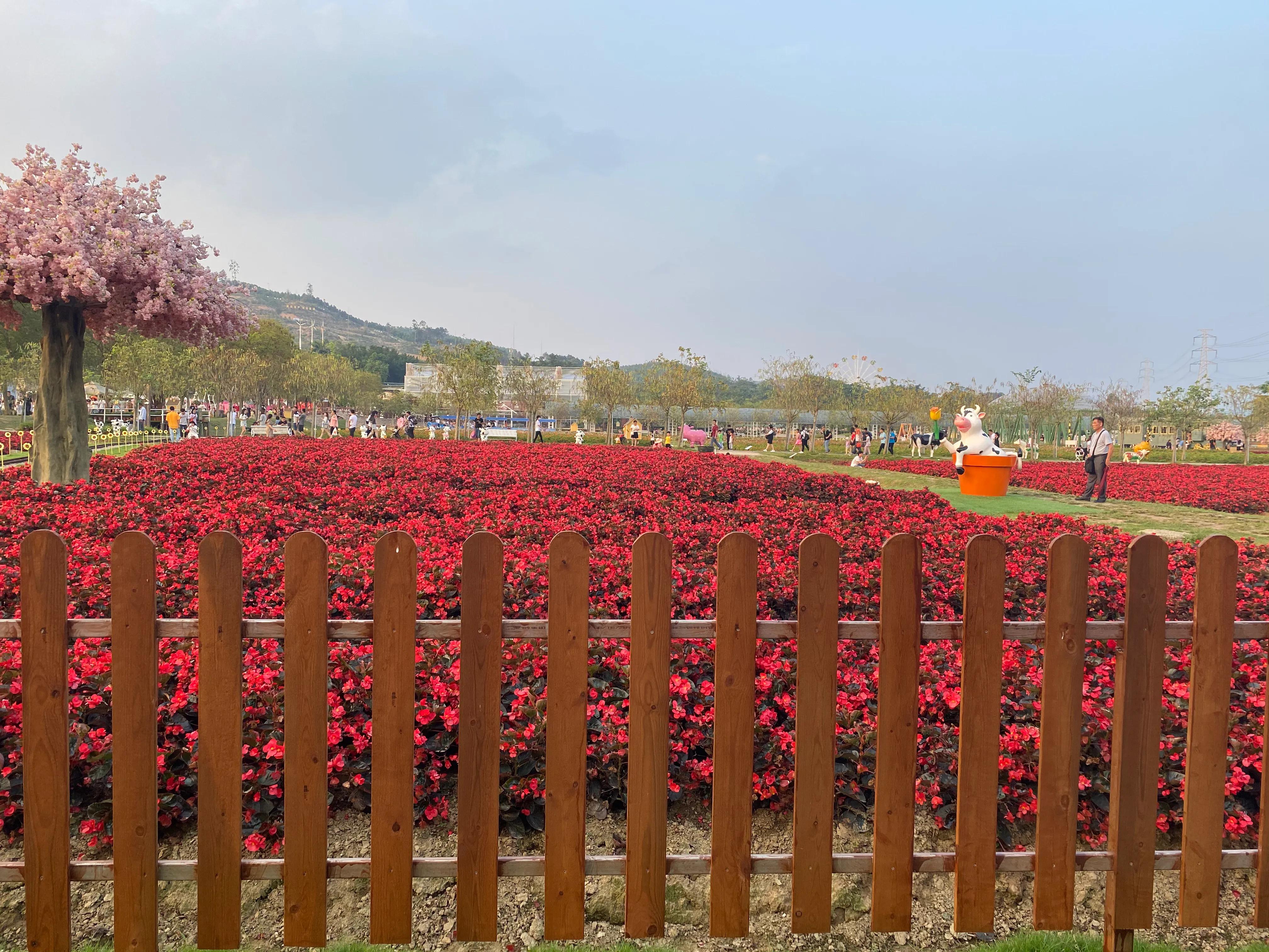 佛山盈香生态园一天玩得完吗,佛山盈香生态园值得去吗