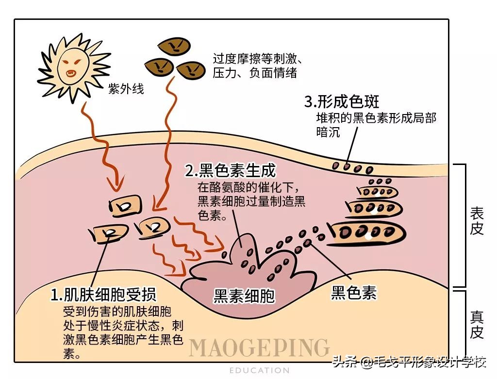 珍珠粉美白的妙招,柠檬加珍珠粉美白吗