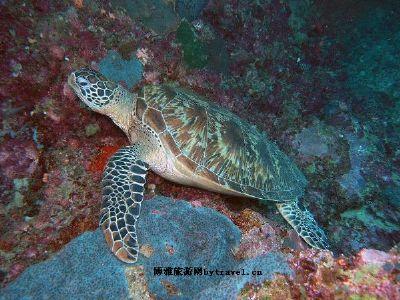 马来西亚旅游景点地图,马来西亚著名景点岛屿