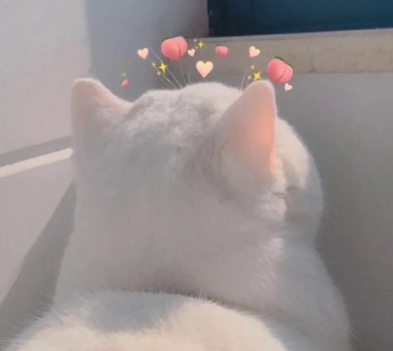 怀孕没有钱特别焦虑怎么办,孕期没有收入感到焦虑