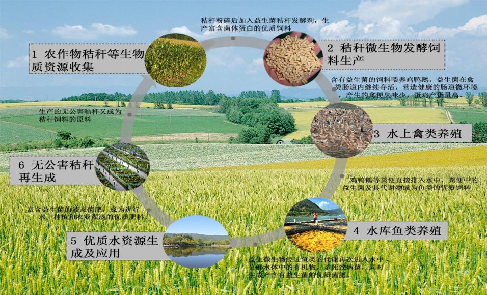 秸秆综合利用农业绿色发展,生态循环农业养鸡项目简介