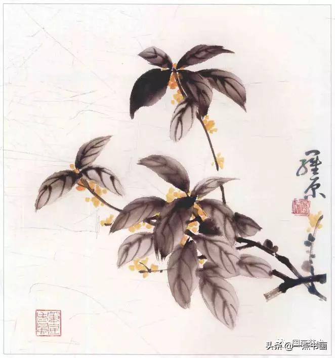 几组写意花鸟创作示范图解,国画小品写意花鸟图片欣赏