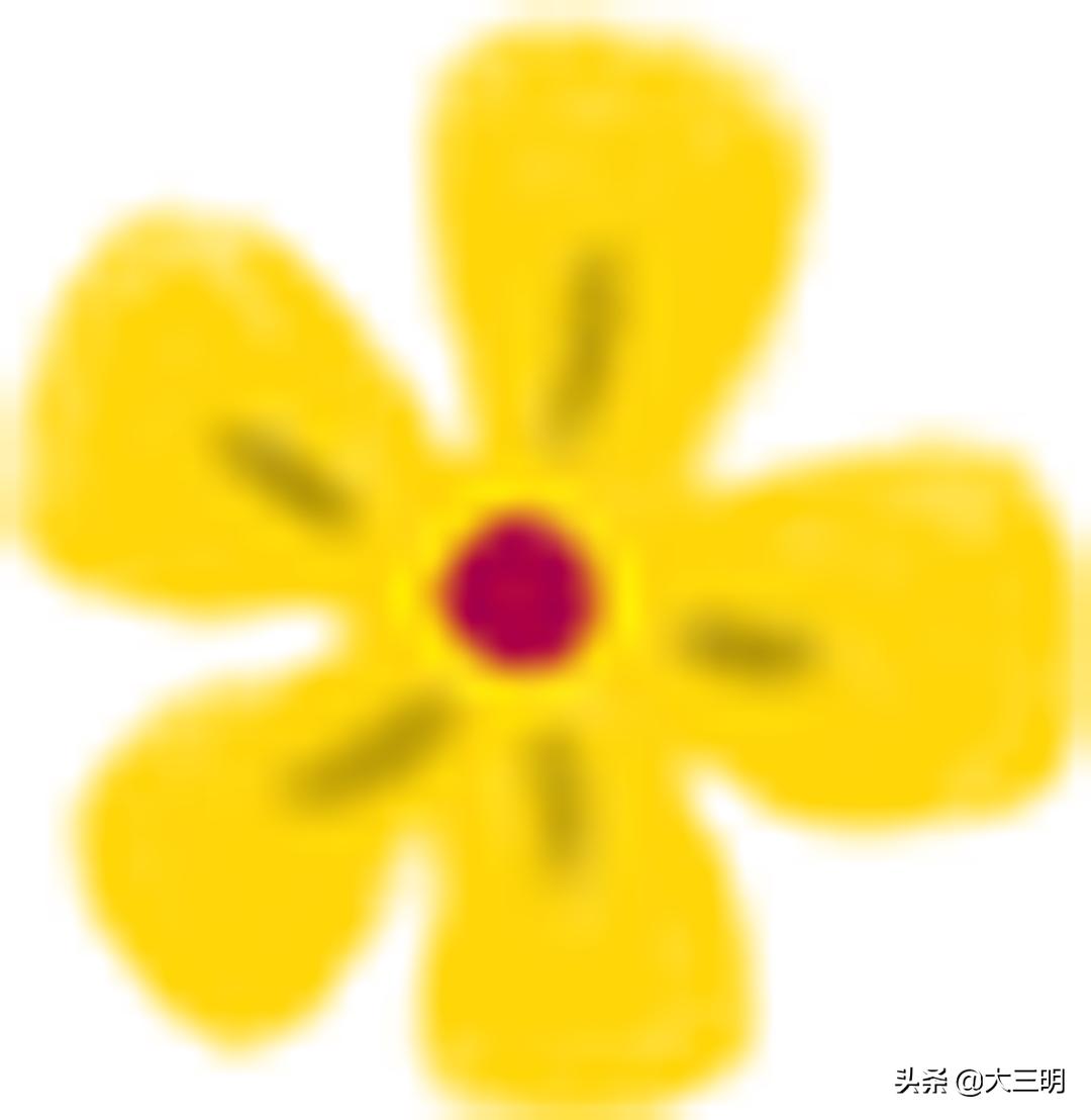 荣誉升旗手丨二年,6班刘昕妤