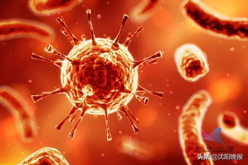 艾滋病真的有这么容易传染吗,艾滋病传染途径主要有哪三种