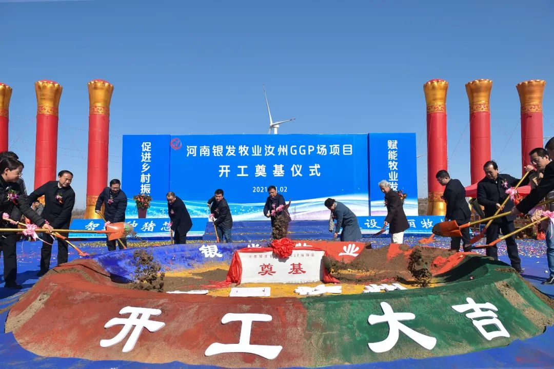 河南银发牧业有没有二产母猪,河南银发牧业养猪场