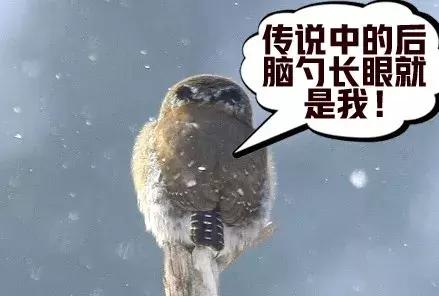 不喂奶就不会分泌奶水吗,不喂奶就是不爱宝宝