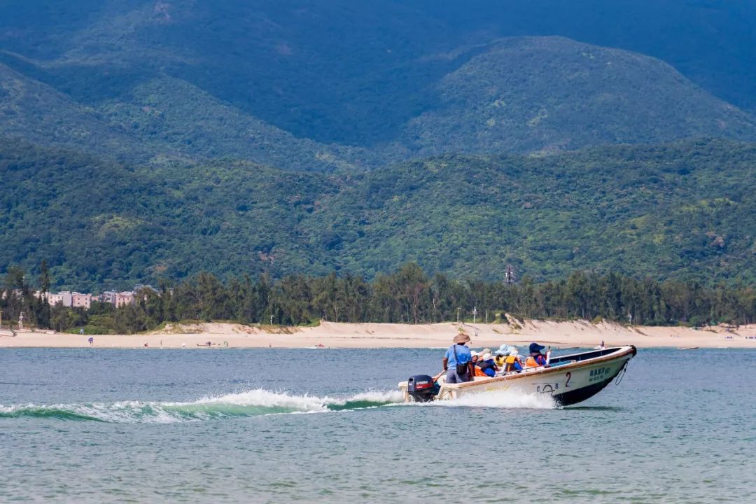 深圳少见的“十里银滩”，美到无边