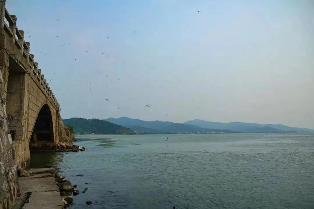 横山岛位于苏州东山还是西山,苏州西山横山岛视频