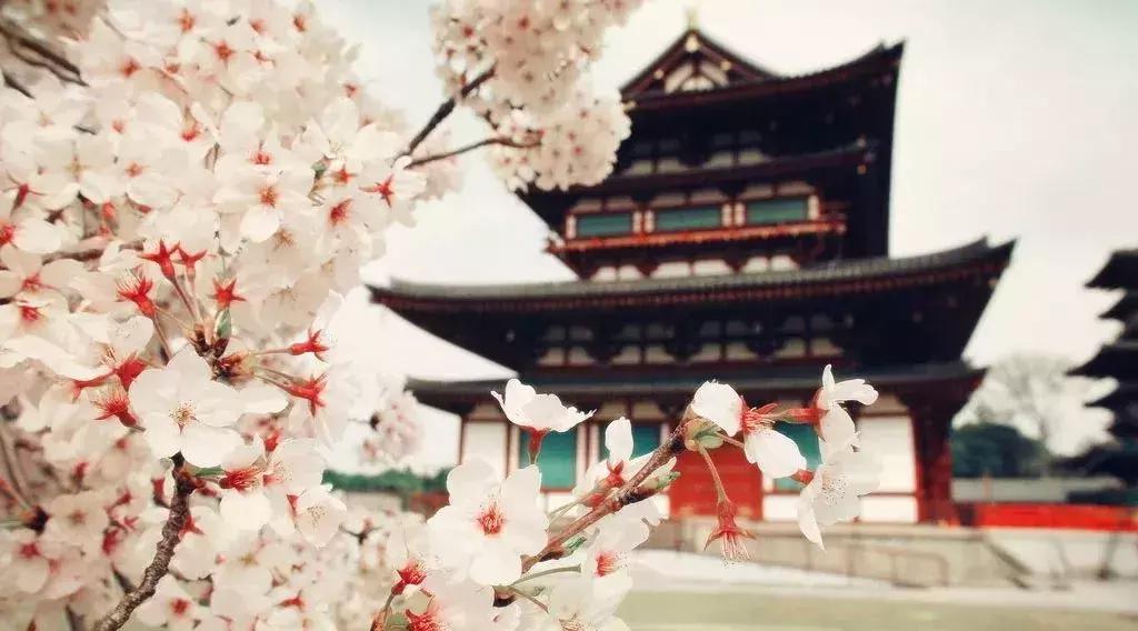 乡村振兴示范村是要拆了重新建吗,衡阳乡村振兴示范村规划编制招标