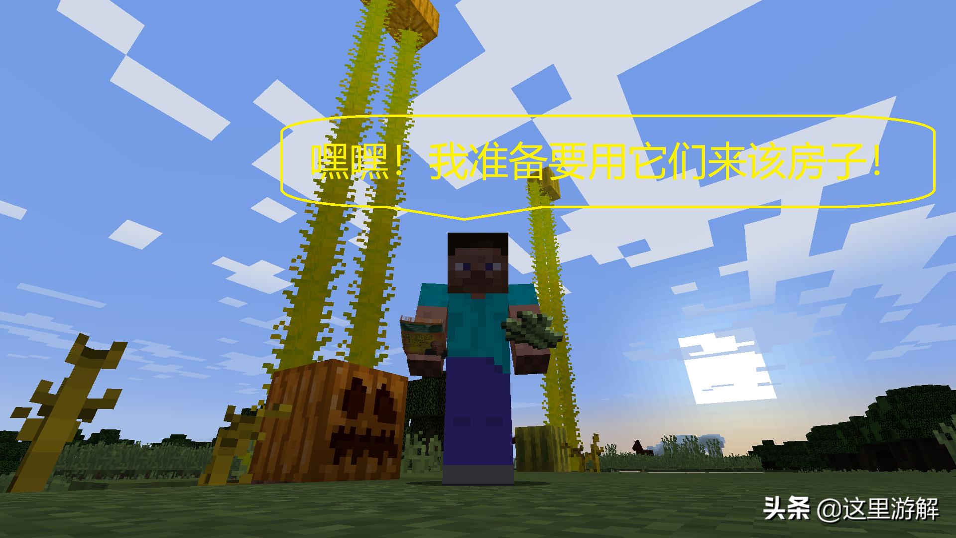 我的世界农作物推荐种什么,我的世界农民收农作物的条件