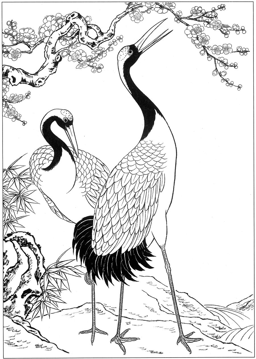 仙鹤桃子工笔白描稿,工笔画仙鹤高清图上色步骤图