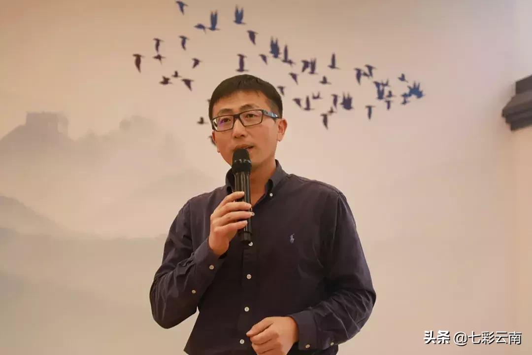 普洱茶百山百味茶,普洱茶的魅力百山有百味