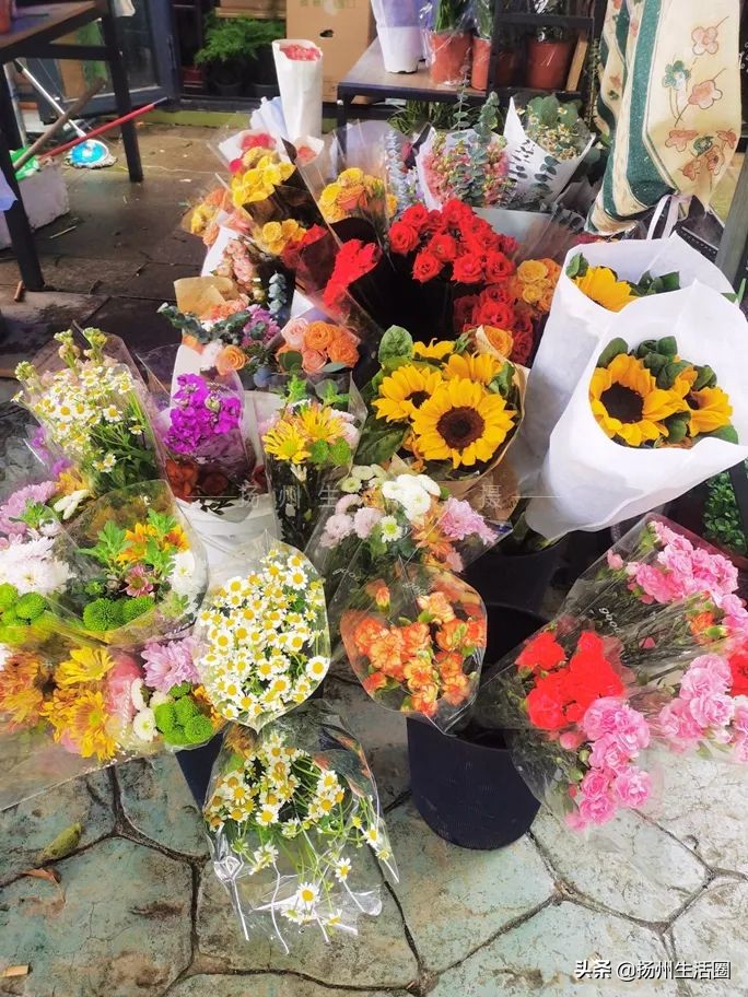 扬州花卉市场大全,扬州西区花卉市场