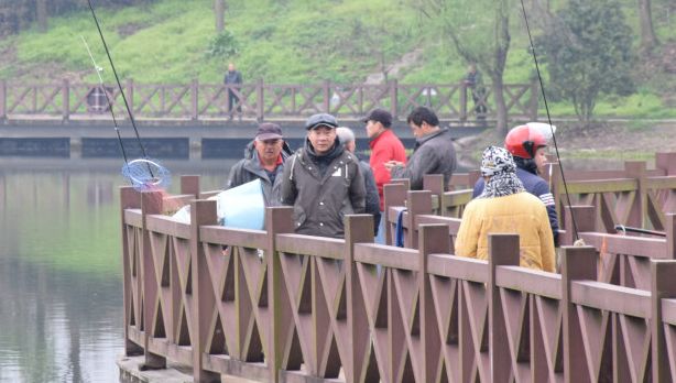 大脑迟钝反应慢怎么改善,大脑反应慢教你一招