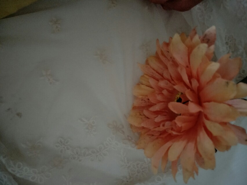 纱窗破了个小洞怎么办？不用换新的，一分钟教会您修补纱窗破洞。