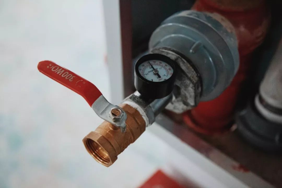 走，带你去看黄家湖畔的“蓝马甲”