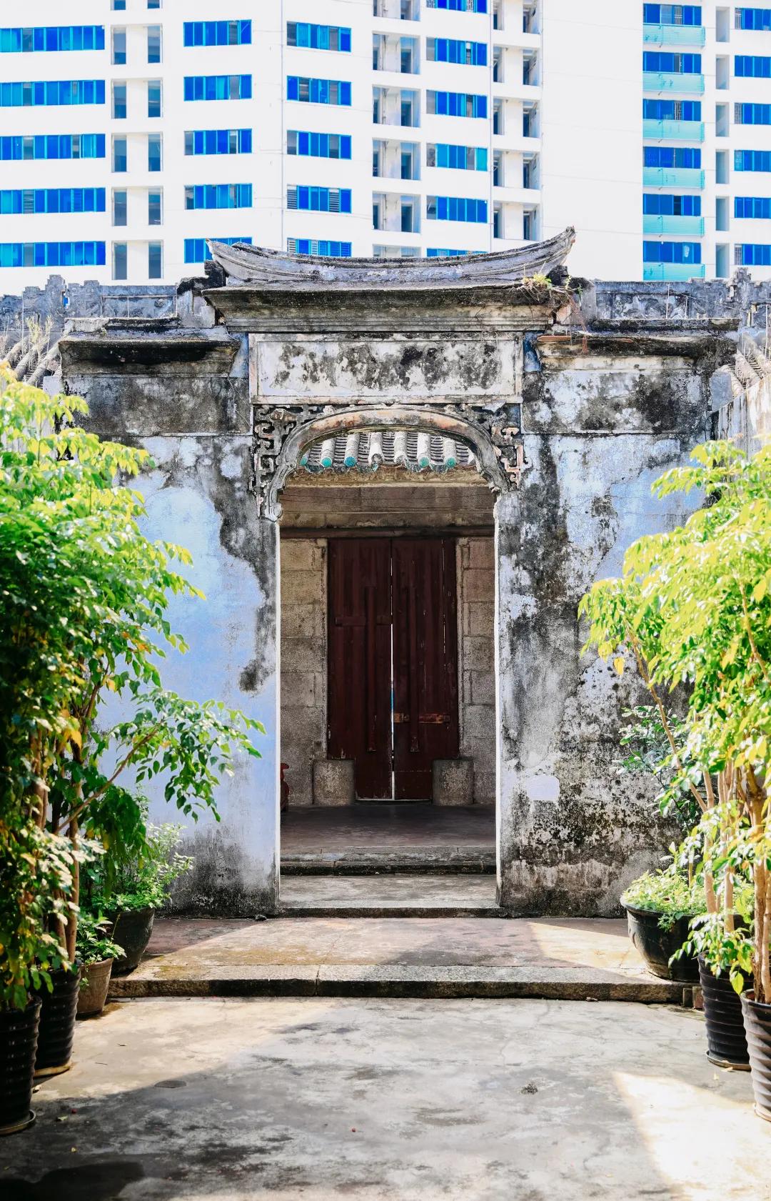 漫游东游西荡,漫游深圳城市