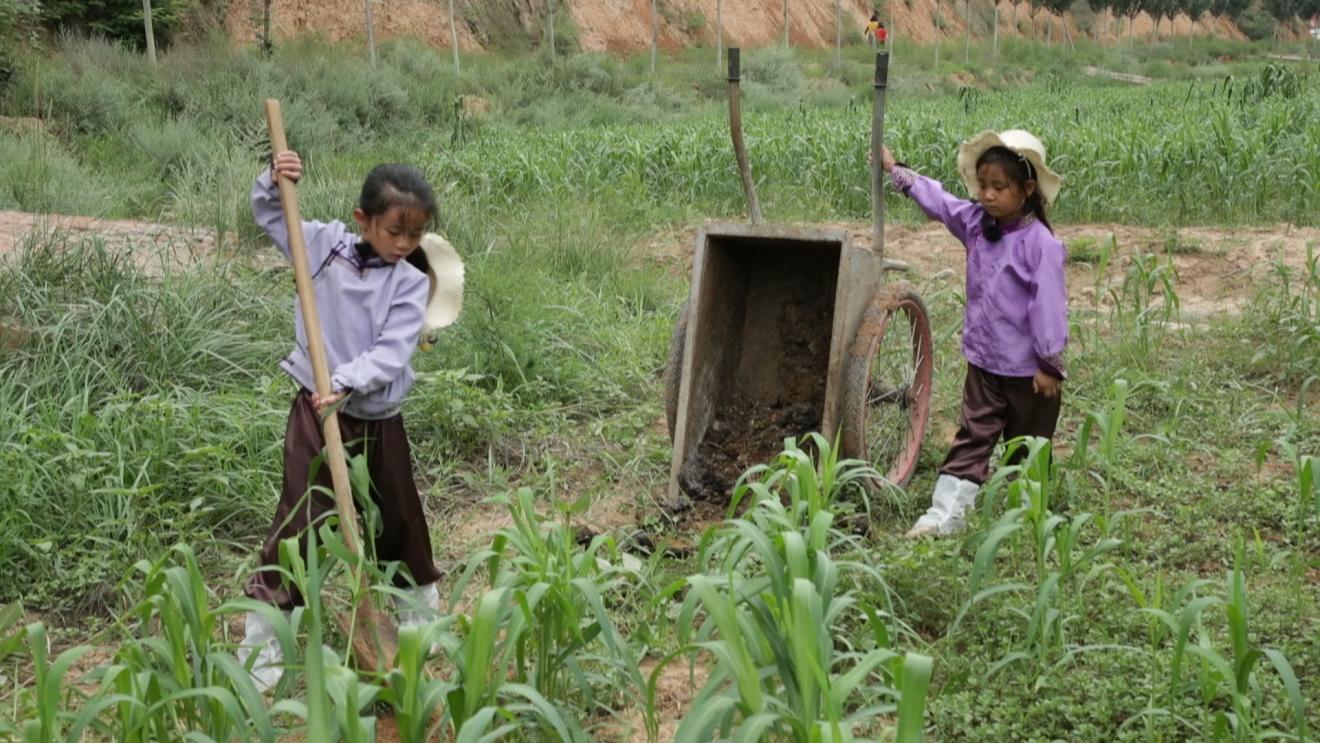 澳牧喂生肉,澳牧为什么那么甜