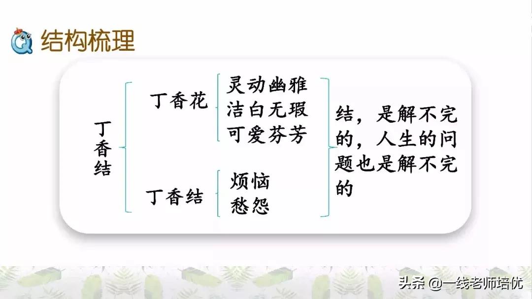 六年级上册第二课丁香结知识点,部编版六年级上册语文丁香结预习