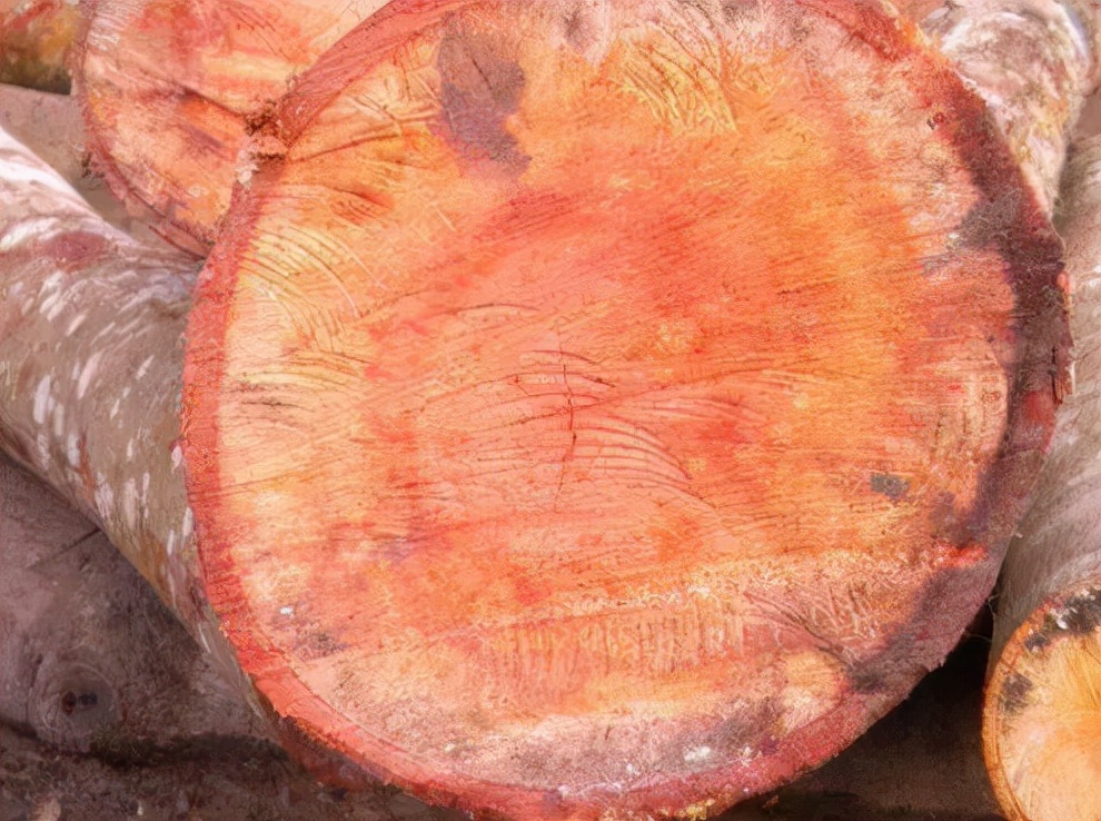 家居装修打柜子选用什么木材,室内木材选择