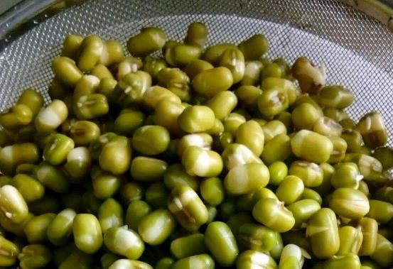 绿豆怎么生出绿豆芽,开水生绿豆芽