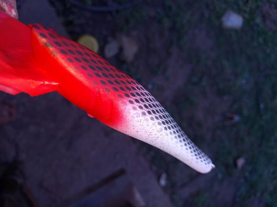 路亚新手从上线到上假饵,路亚全套路假饵