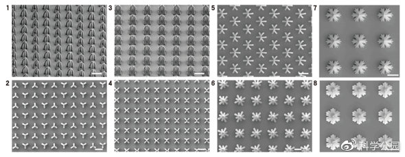 湿头发为什么看起来秃,头发一坨粘在一起怎么办
