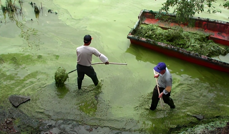 工业净水器十大品牌排名榜,净水器排名前10名品牌价格