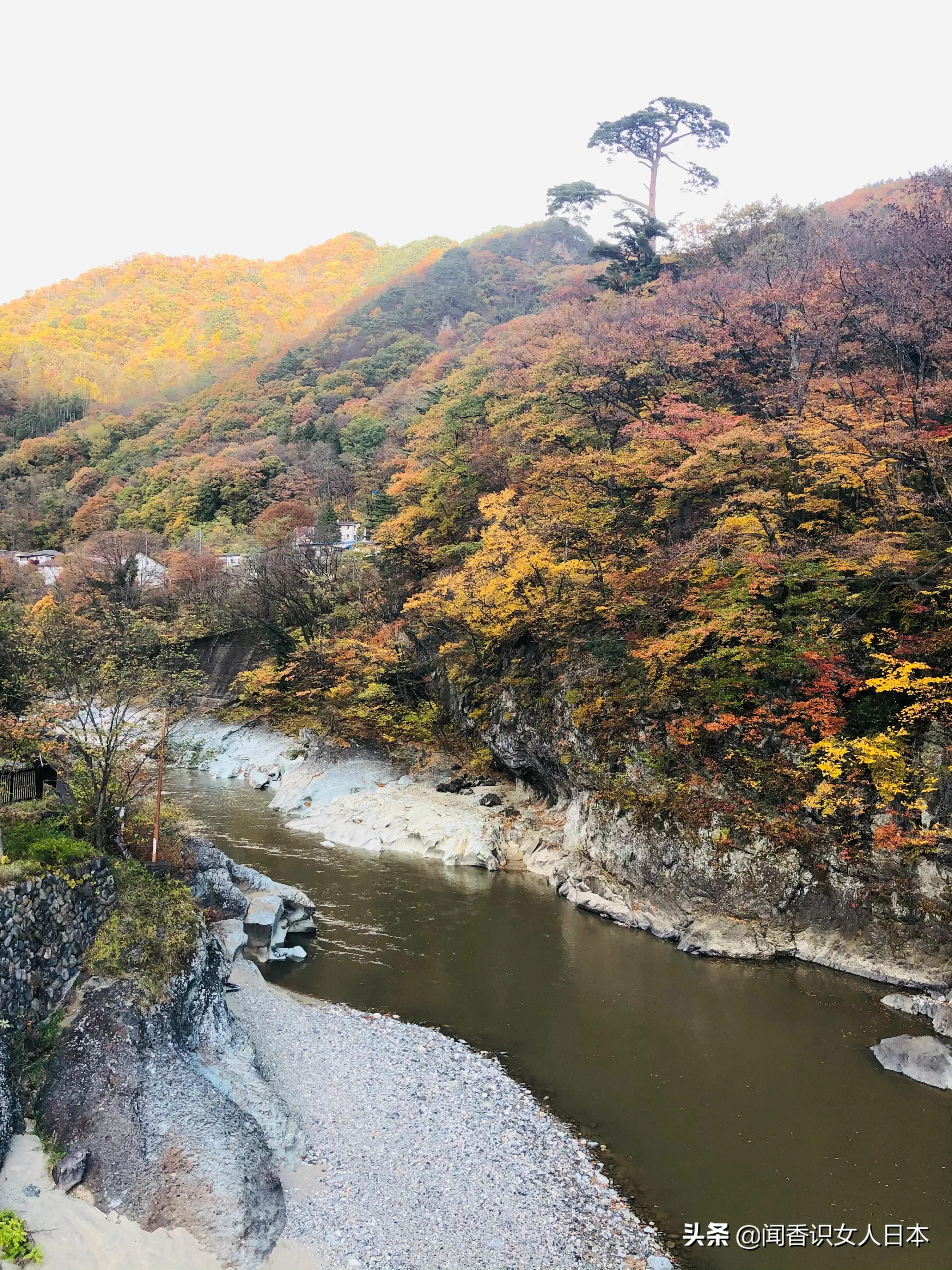 群马县最有名的温泉,群马温泉一日游攻略