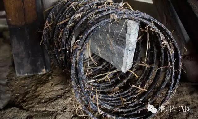 “茶油煮饭，锅底刮烂”！罗定的你试过了吗？