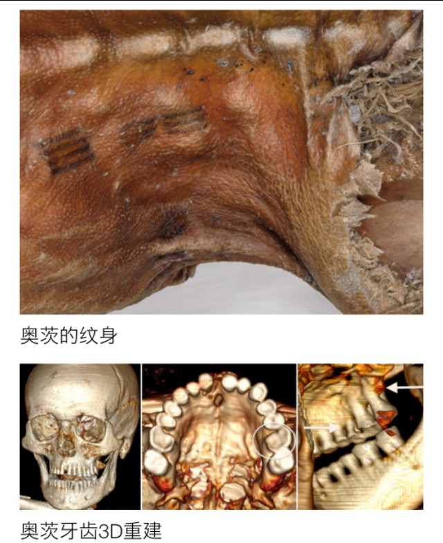 濂ュ吂鍐颁汉鏈В涔嬭皽,濂ヨ尐鍐颁汉姝诲洜