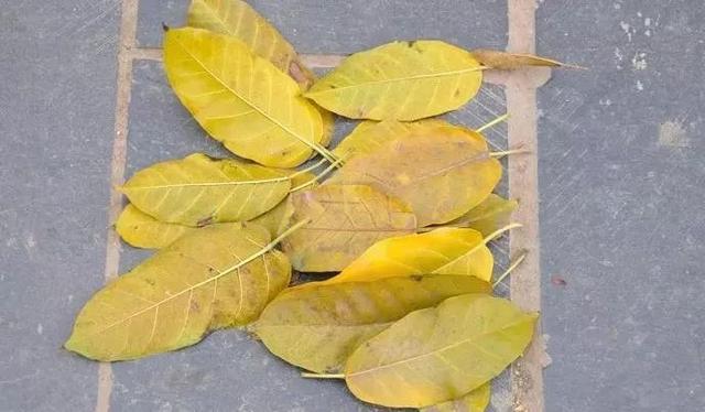 3岁数学启蒙,3-6岁幼儿数学思维几个方法训练