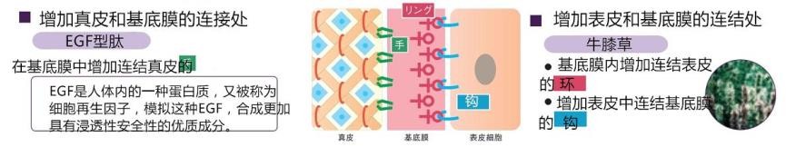 naris足部护理,nars唇部磨砂