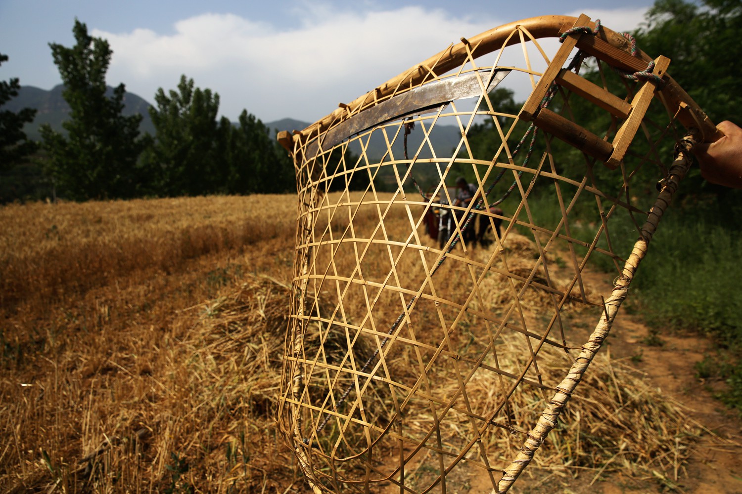 割麦神器大全视频,农民割麦用什么神器