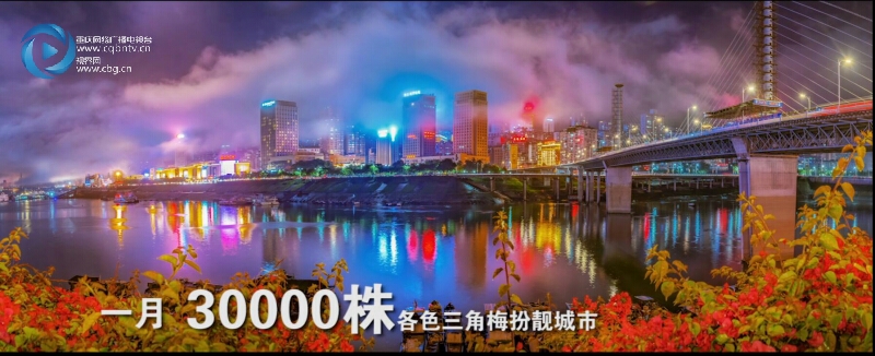 重庆万州未来发展规划,重庆万州区发展前景