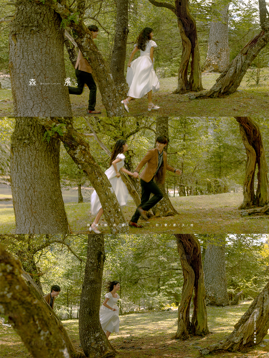 旅拍婚纱照哪里合适,旅拍婚纱照选择去哪里