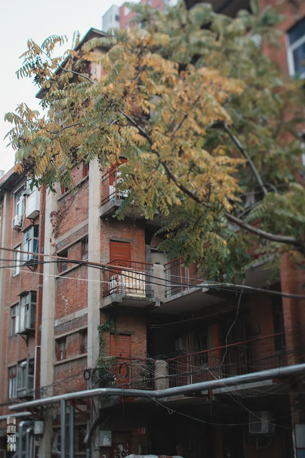 陇海高架下的普通小街，隐匿着几代铁路人的不平凡人生